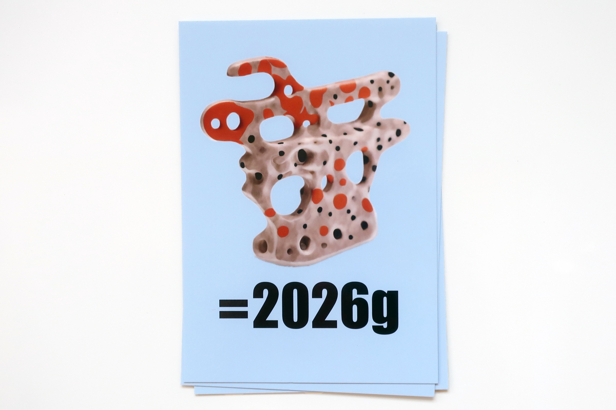 Elsa Werth, 2026g Elsa Werth, 2026g